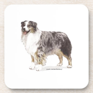 Porta-copo Australian Shepherd
