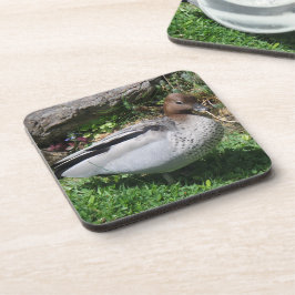 Porta-copo Australian Wood Duck in Tranquil Garden