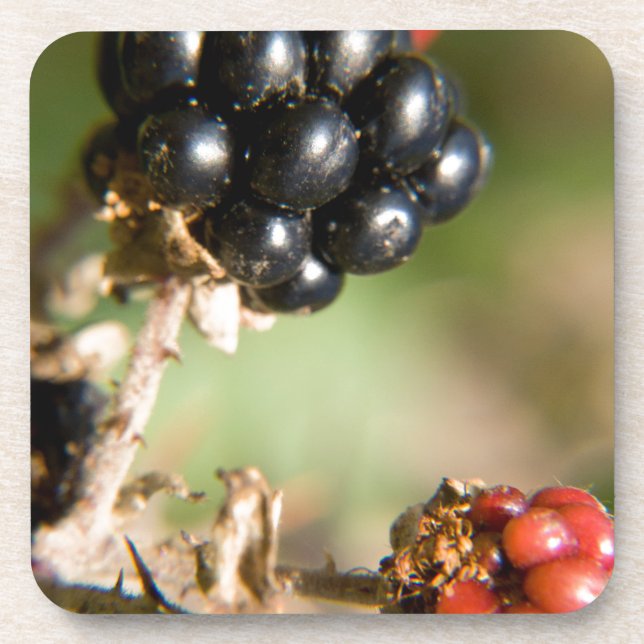 Porta-copo Autumn Berries (Frente)