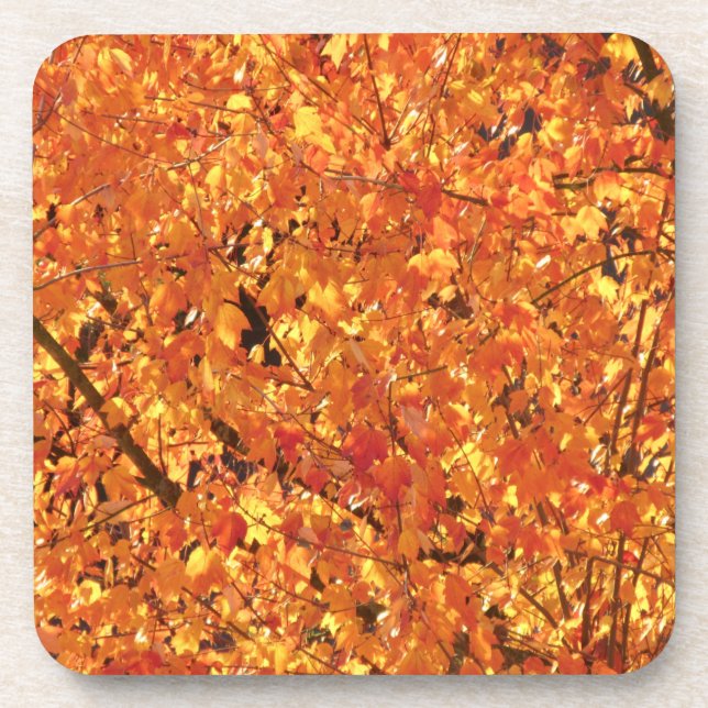 Porta-copo Autumn Leaves na árvore - fotografia. (Frente)