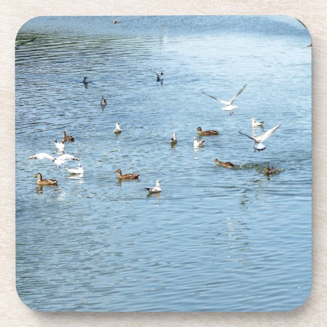 Porta-copo Aves No Rio De Verão (Frente)