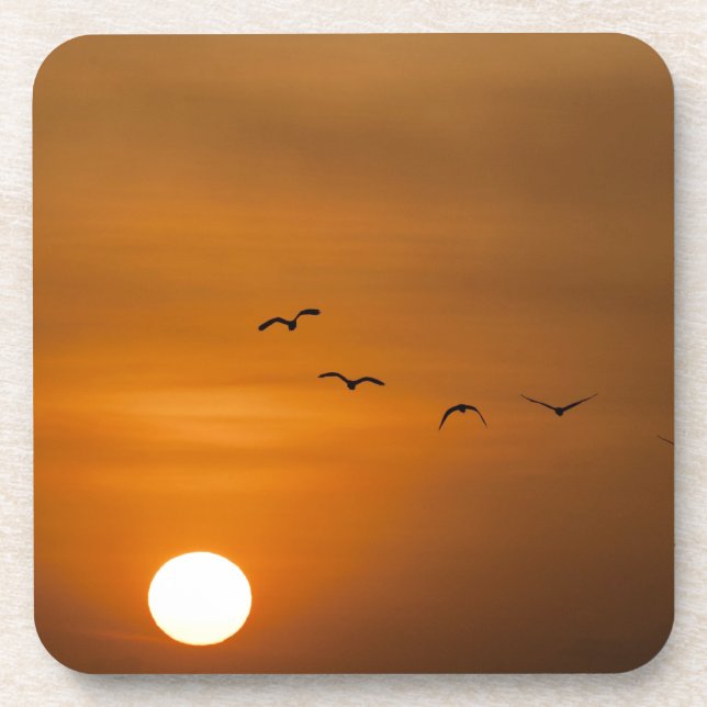 Porta-copo Aves voando no pôr do sol (Frente)