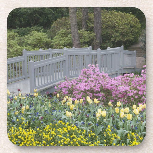 Porta-copo Azalea Heath Family (Ericaceae), Tulip, e (Frente)