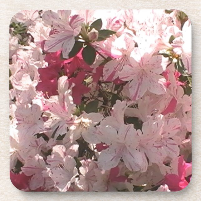 Porta-copo Azalea rosa (Frente)