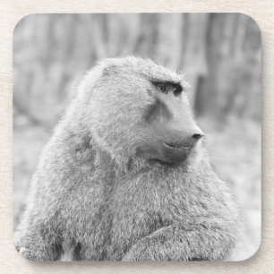 Porta-copo Babuíno africano