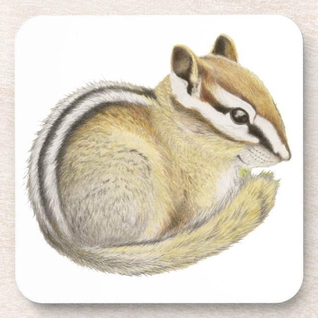 Porta-copo Baby Chipmunk (Frente)