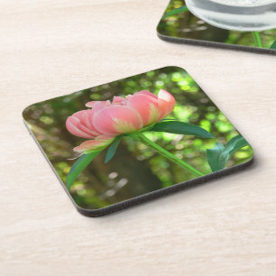 PORTA-COPO "BABY-PINK MACIO E PEÔNIA ESBRANQUIÇADO CREMOSA"