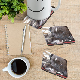 Porta-copo Baby Pitbull Puppy