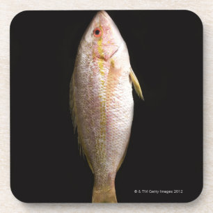 Porta-copo Badejo inteiro