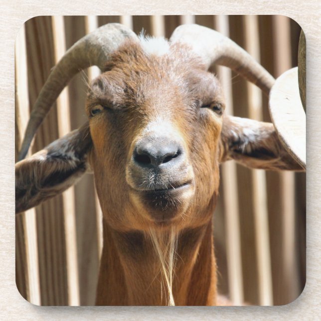 Porta-copo Bah (Frente)