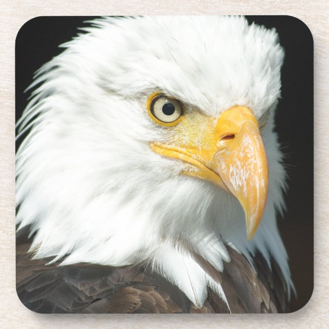 Porta-copo Bald Eagle (Frente)