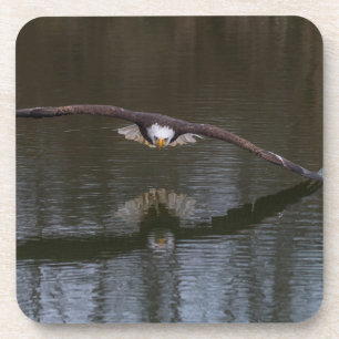 Porta-copo Bald Eagle na Páscoa das Bebidas de Voo