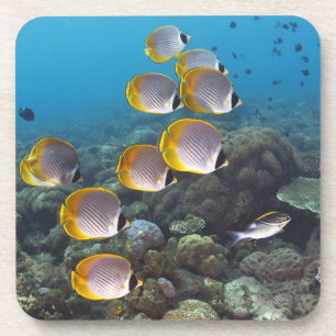 Porta-copo Bali, Indonésia