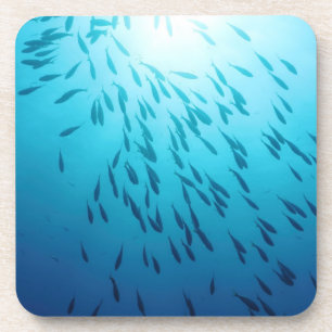 Porta-copo Banco de areia dos peixes
