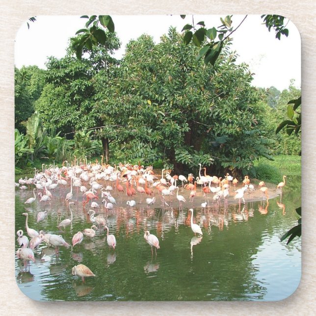 Porta-copo bando de flamingo (Frente)