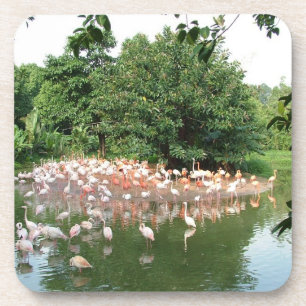 Porta-copo bando de flamingos