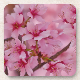 Porta-copo Banhado em flores de cerejeira japonesas cor-de-ro