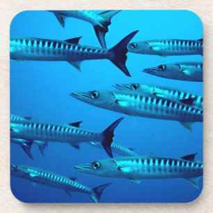 Porta-copo barracuda mergulho mar profundo água oceano tropic
