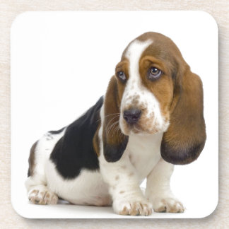 Porta-copo Basset Hound