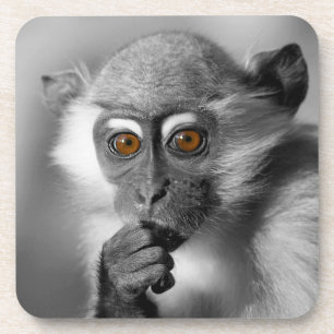 Porta-copo Bebê Mangabey Mackey
