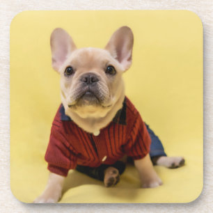 Porta-copo Bebês Mais Pobres Buldogue francês vestido
