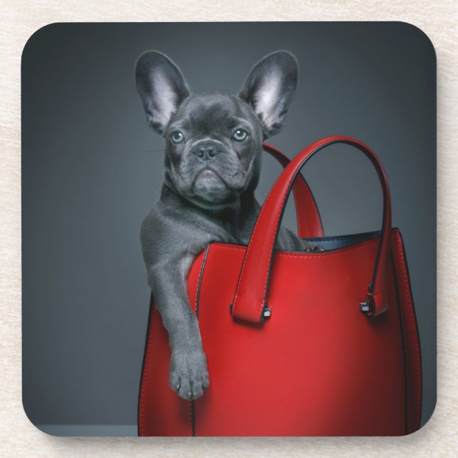 Porta-copo Bebês Mais Pobres | Bulldog Francês no Handbag (Frente)