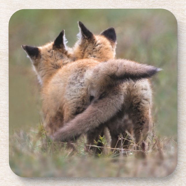 Porta-copo Bebês Mais Pobres | Colas de Raposa Vermelha Tranc (Frente)