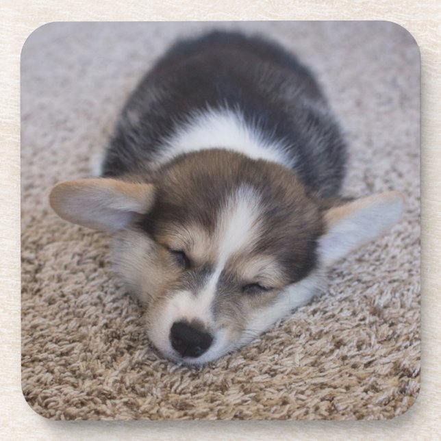 Porta-copo Bebês Mais Pobres | Corgi Puppy em Shag Rug (Frente)