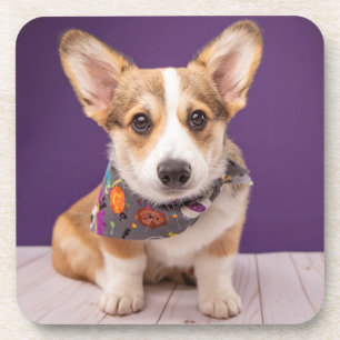 Porta-copo Bebês Mais Pobres Halloween Corgi