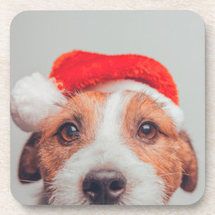 Porta-copo Bebês Mais Pobres Jack Russell Dog Santa Claus