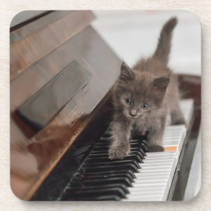 Porta-copo Bebês Mais Pobres   Kitten on Piano