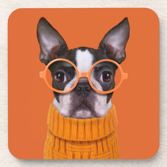 Porta-copo Bebês Mais Pobres | Orange Boston Terrier (Frente)