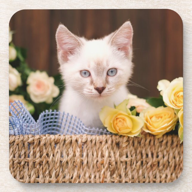 Porta-copo Bebês Mais Pobres | Rosas de Kitten e Amarelo (Frente)