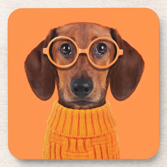 Porta-copo Bebês Mais Pobres | Suéter de laranja Dachshund (Frente)