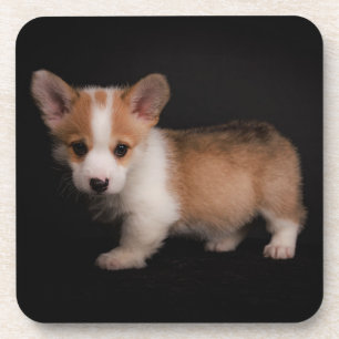Porta-copo Bebês Mais Pobres   Tiny Corgi