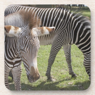 Porta-copo Bedfordshire, Inglaterra