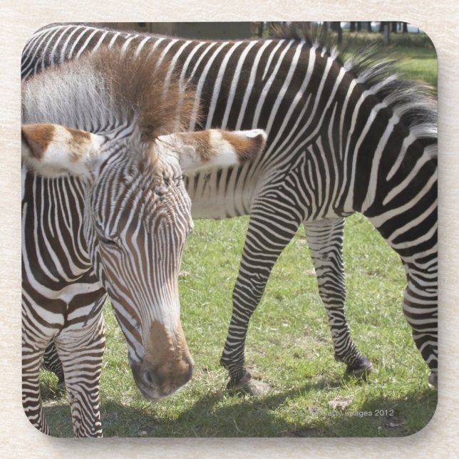 Porta-copo Bedfordshire, Inglaterra (Frente)