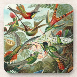 Porta-copo Belas-Artes, Hummingbird - Formas de Arte da Natur