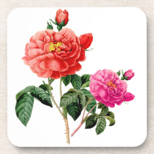 Porta-copo belas flores de rosa, vermelhas e cor-de-rosa