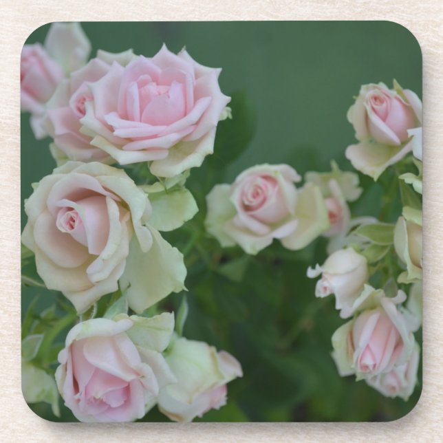 Porta-copo Belas rosas de jardim rosa claro (Frente)