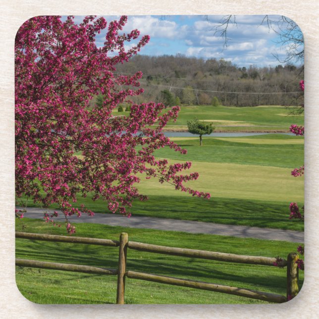 Porta-copo Beleza de Primavera no Rivercut (Frente)