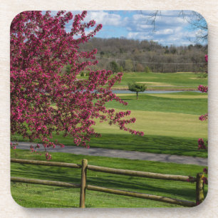 Porta-copo Beleza primavera no Rivercut