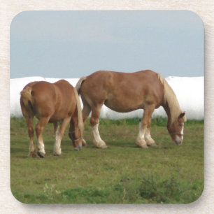 Porta-copo Belgas