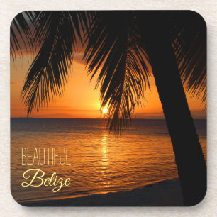 Porta-copo Belize Foto Tropical Palm Tree Sunset