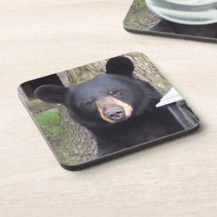 Porta-copo Belo Urso Negro