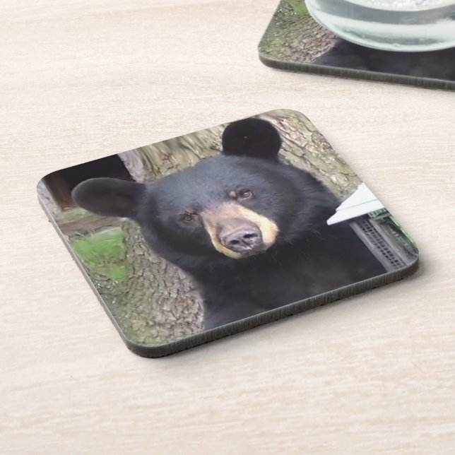 Porta-copo Belo Urso Negro (Left Side)