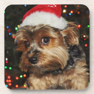Porta-copo Belo Yorkie com Santa Hat