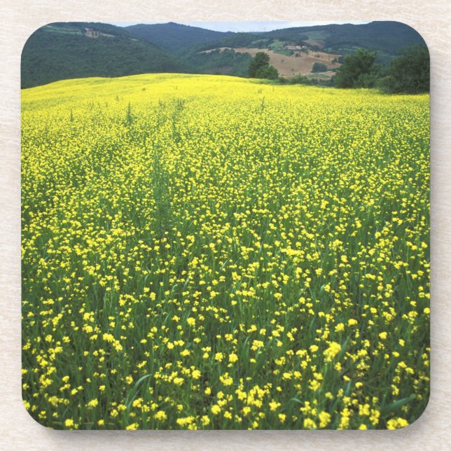 Porta-copo Belos campos cobertos de flores amarelas de San (Frente)