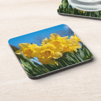 Porta-copo Belos Daffodilos Amarelos