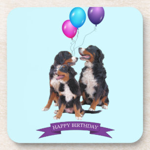 Porta-copo Bernese Mountain Dogs Feliz Aniversário